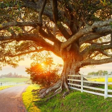 Artwork thumbnail, Road to Kiama, New South Wales, Australia by Michael Boniwell
