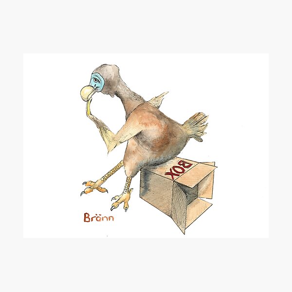 Dodo thinks outside the box Photographic Print