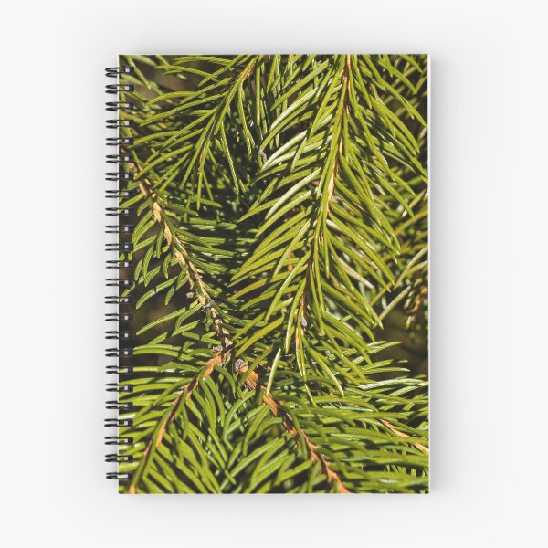 Item preview, Pine twigs designed and sold by viknitov.