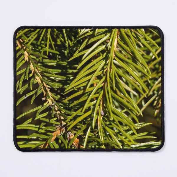 Item preview, Pine twigs designed and sold by viknitov.