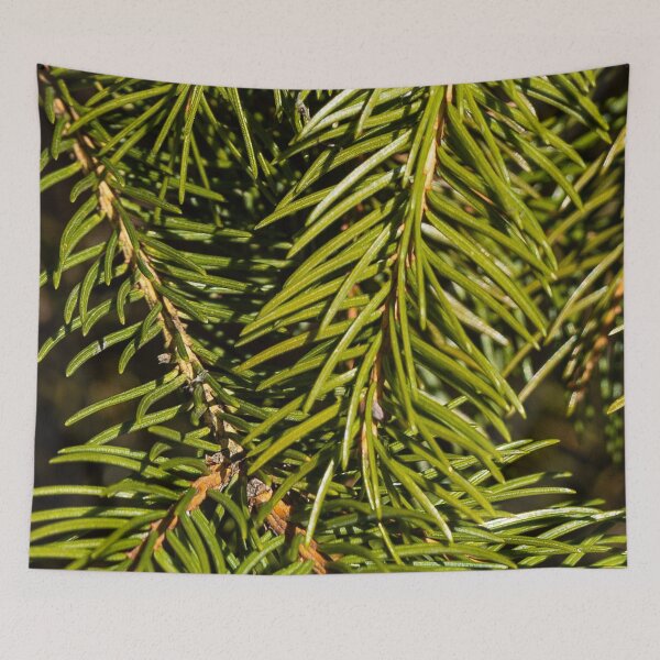 Item preview, Pine twigs designed and sold by viknitov.