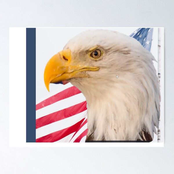 Item preview, American Eagle, National USA Bird designed and sold by josesita.