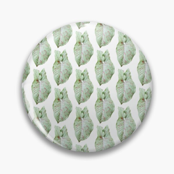 Item preview, Fotografía única y orgánica de un Syngonium Milk Confetti 2 designed and sold by AvonPerception.