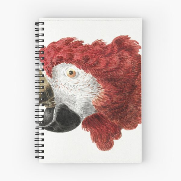 Item preview,  surprise if designed and sold by Lu Rochee.