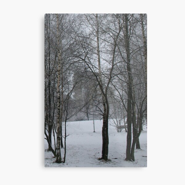 Winter Time in sity Metal Print