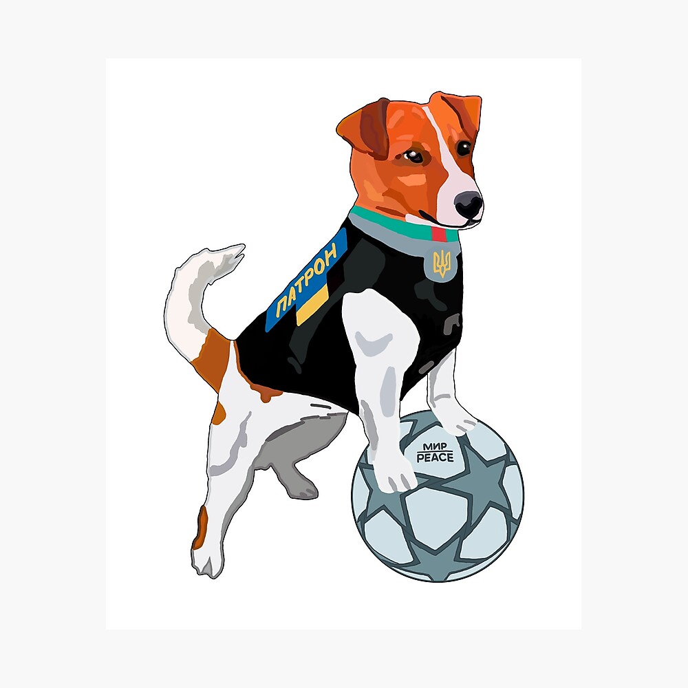 Dog, football player, Paris Saint-Germain club team Poster for