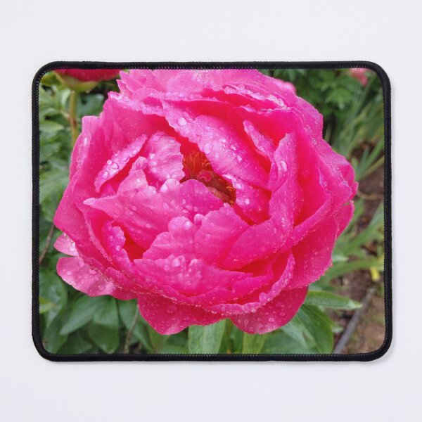 Item preview, Red Peony designed and sold by jdphotos.