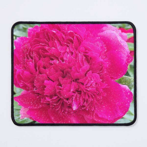 Item preview, Red peony designed and sold by jdphotos.