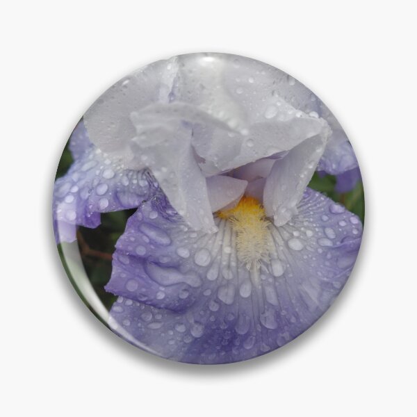 Item preview, Blue & white iris designed and sold by jdphotos.