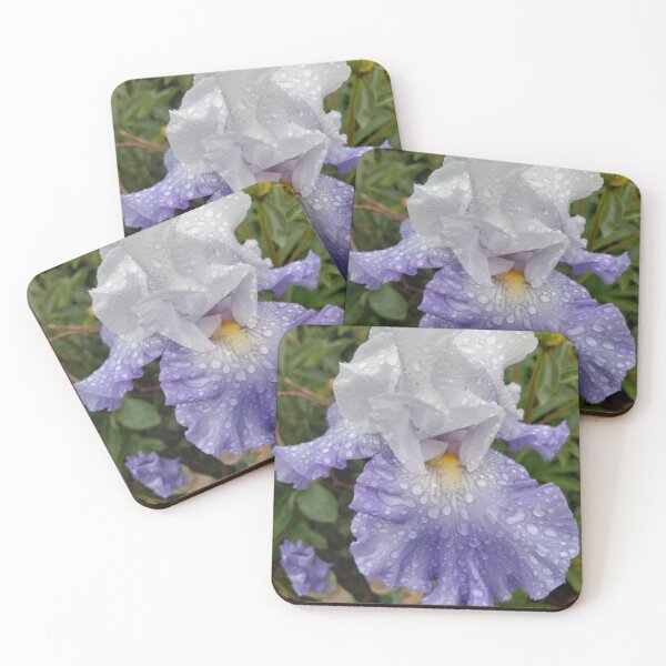 Item preview, Blue & white iris designed and sold by jdphotos.