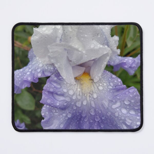 Item preview, Blue & white iris designed and sold by jdphotos.