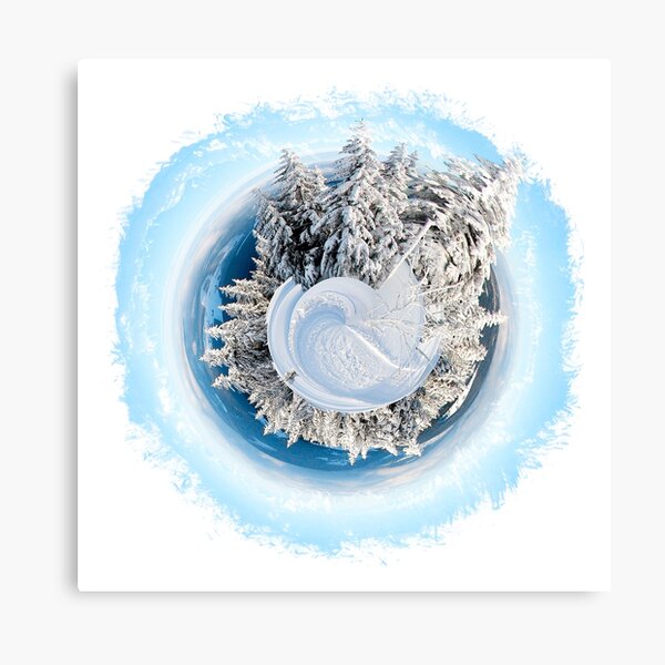 Winter World 9 Canvas Print