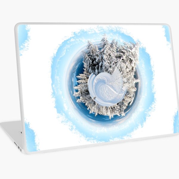 Winter World 9 Laptop Skin