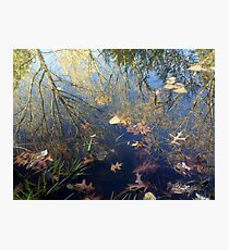 World Upside Down Photographic Print
