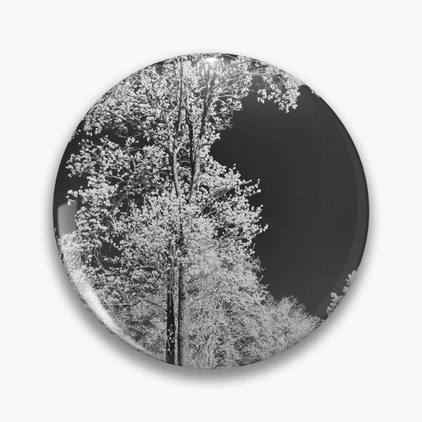 Item preview, White pines black sky. Infrared photography bw designed and sold by Jouko Lehto Photography.