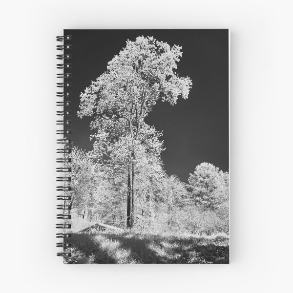 Item preview, White pines black sky. Infrared photography bw designed and sold by Jouko Lehto Photography.
