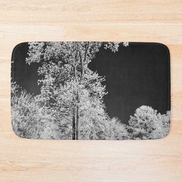Item preview, White pines black sky. Infrared photography bw designed and sold by Jouko Lehto Photography.