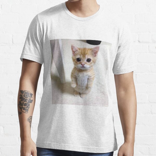 el gato shirt