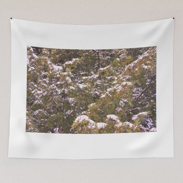 Item preview, Snowy Evergreen Abstract designed and sold by LisaWootenPhoto.