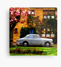 SUBURBIA Metal Print