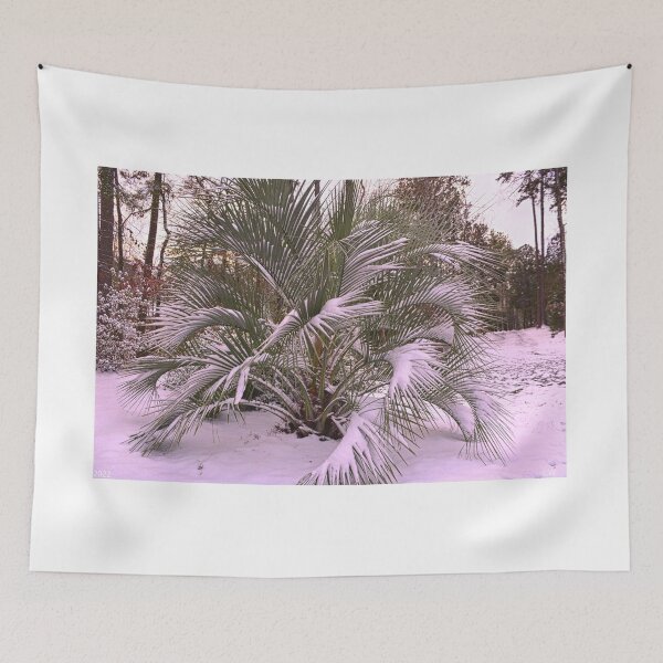 Item preview, Snowy Palm Tree designed and sold by LisaWootenPhoto.