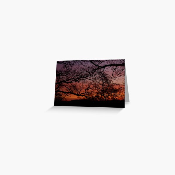 Sunset Branches Greeting Card