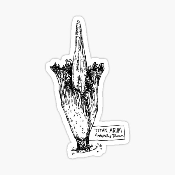 Titan Arum Sticker