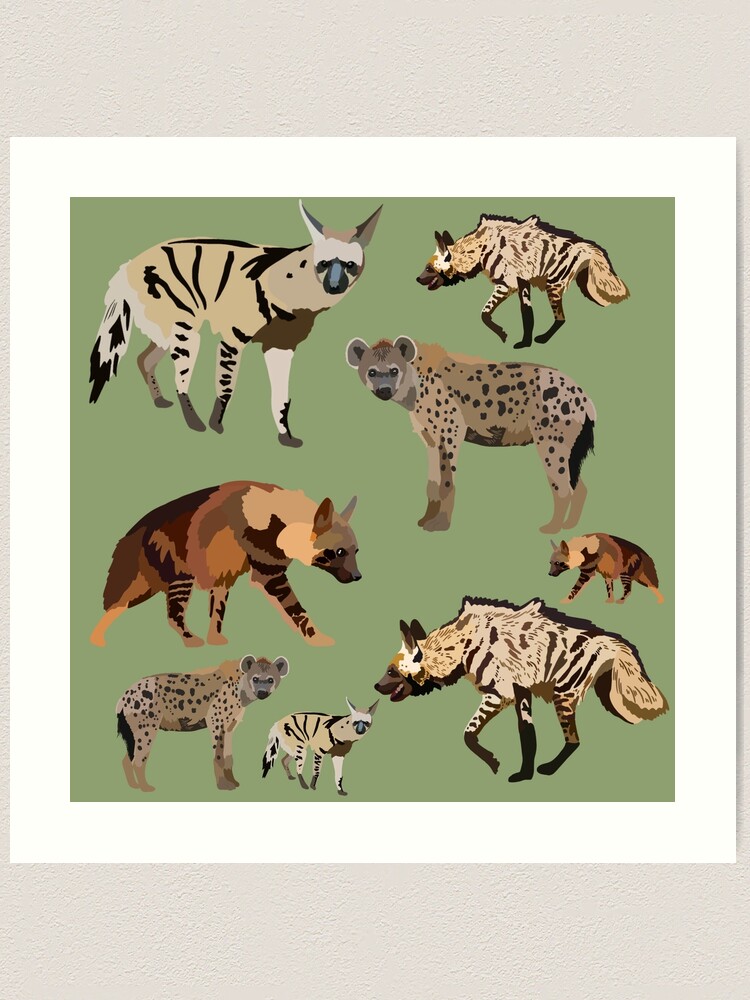 farp,large,wall_texture,