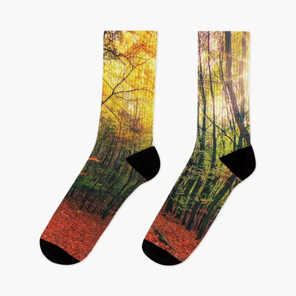 Item preview, Foto de paisaje de bosque de otoño designed and sold by livianasgifts.