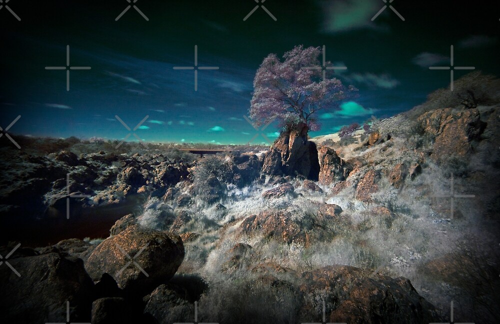 "Knights Landing" by BVPHOTO Redbubble