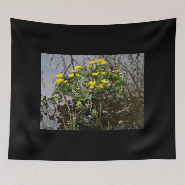 Item preview, Spring waters flower. Marsh-marigold designed and sold by Jouko Lehto Photography.