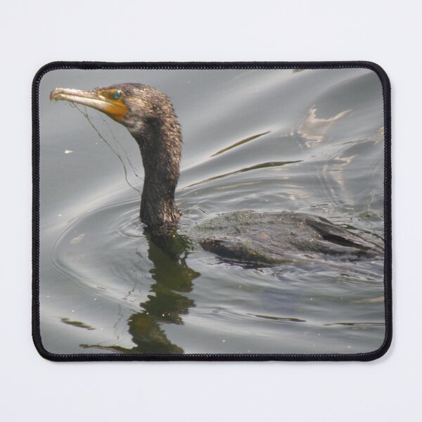 Item preview, Cormorant in the Water Photograph designed and sold by naturegallery.