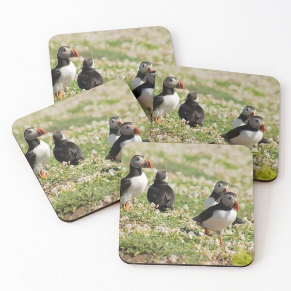 Item preview, Atlantic Puffins designed and sold by ellenmpics.
