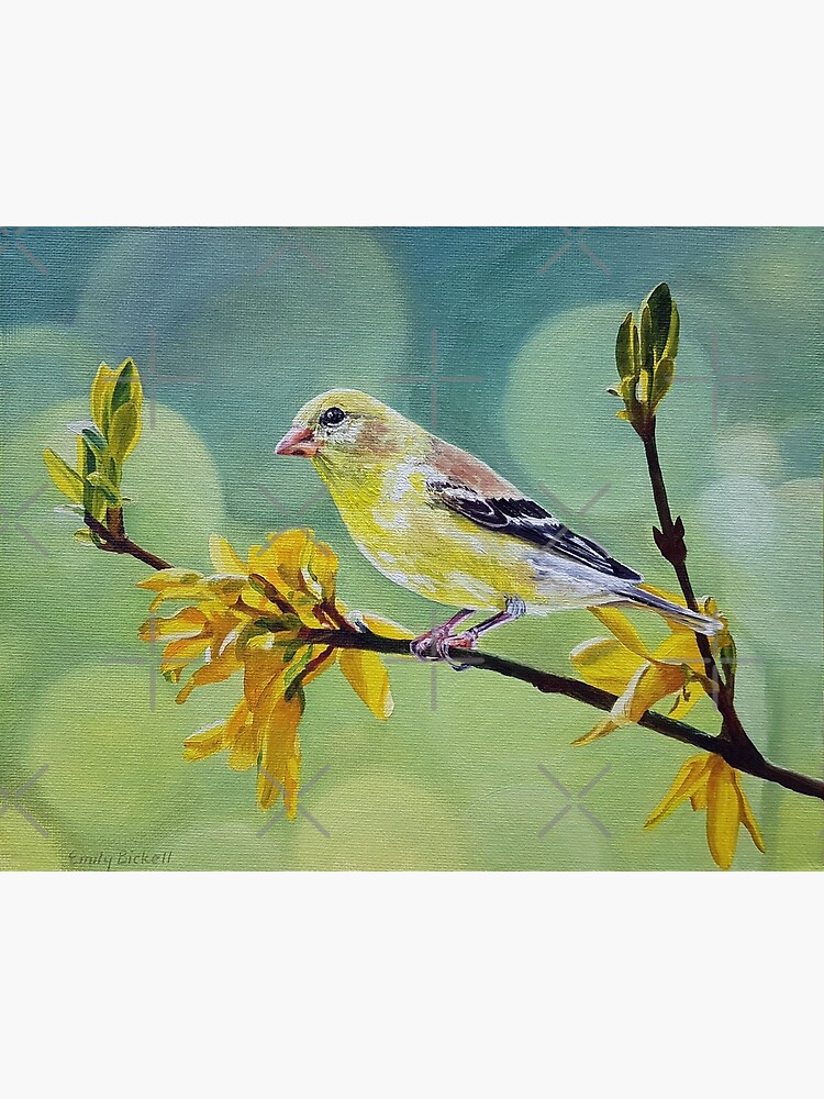 American offers Goldfinch Yellow Bird Watercolor Oil Painting Wall Art Print