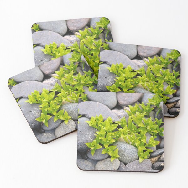 Item preview, Seaside Sandplant designed and sold by jenstever.