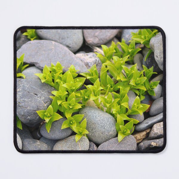Item preview, Seaside Sandplant designed and sold by jenstever.