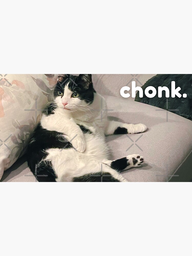 Chonky Cat Is Chonky Sticker For Sale By Toothlessnugget Redbubble