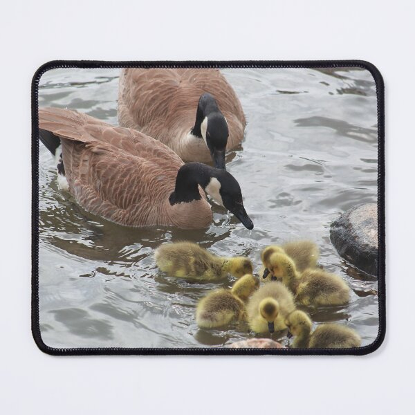 Item preview, Branta canadensis designed and sold by zumi.