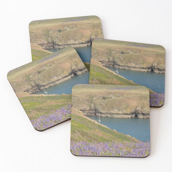 Item preview, Skomer Island Views designed and sold by ellenmpics.
