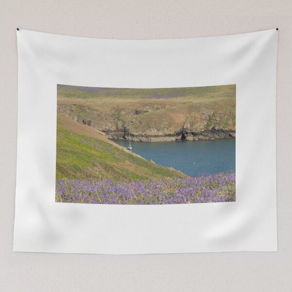 Item preview, Skomer Island Views designed and sold by ellenmpics.