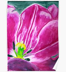 Water Color Tulip Poster