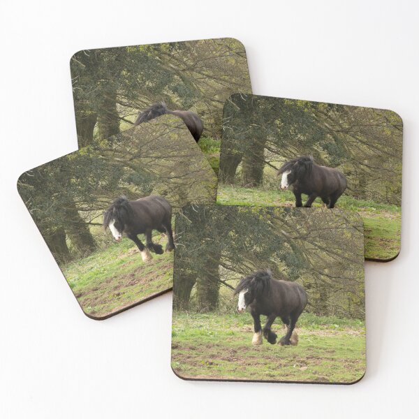 Item preview, Black Beauty designed and sold by ellenmpics.