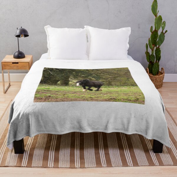 Item preview, Black Beauty designed and sold by ellenmpics.