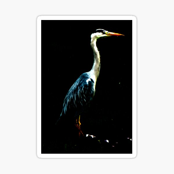 Item preview, Heron on Black designed and sold by designbywhacky.