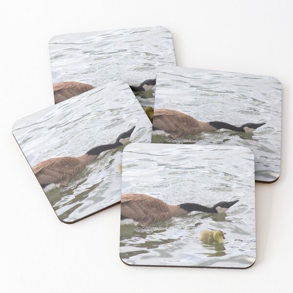 Item preview, Branta canadensis II designed and sold by zumi.