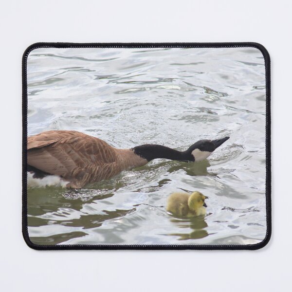 Item preview, Branta canadensis II designed and sold by zumi.