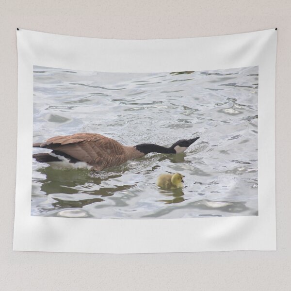 Item preview, Branta canadensis II designed and sold by zumi.