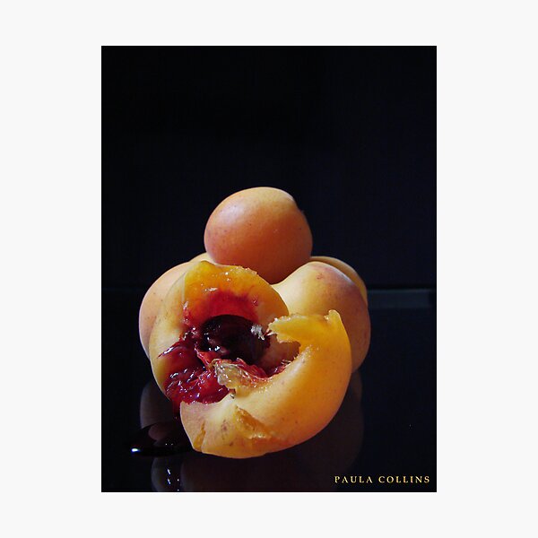 Item preview, Bitter Fruit designed and sold by PaulaCollins.