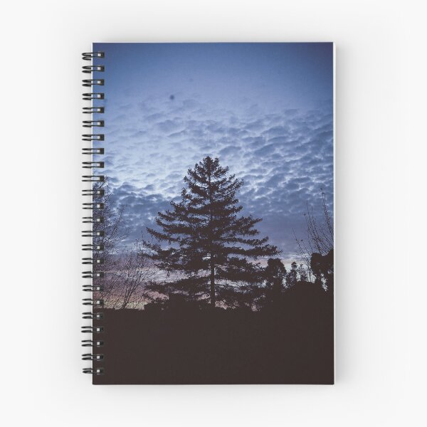 Item preview, dazecore sunset trees landscape photography designed and sold by sielexis.