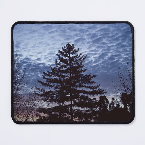 Item preview, dazecore sunset trees landscape photography designed and sold by sielexis.